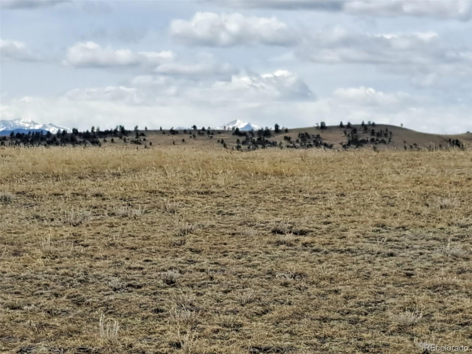 3434 Moffat Road Hartsel, CO 80449 - Photo 12 of 21