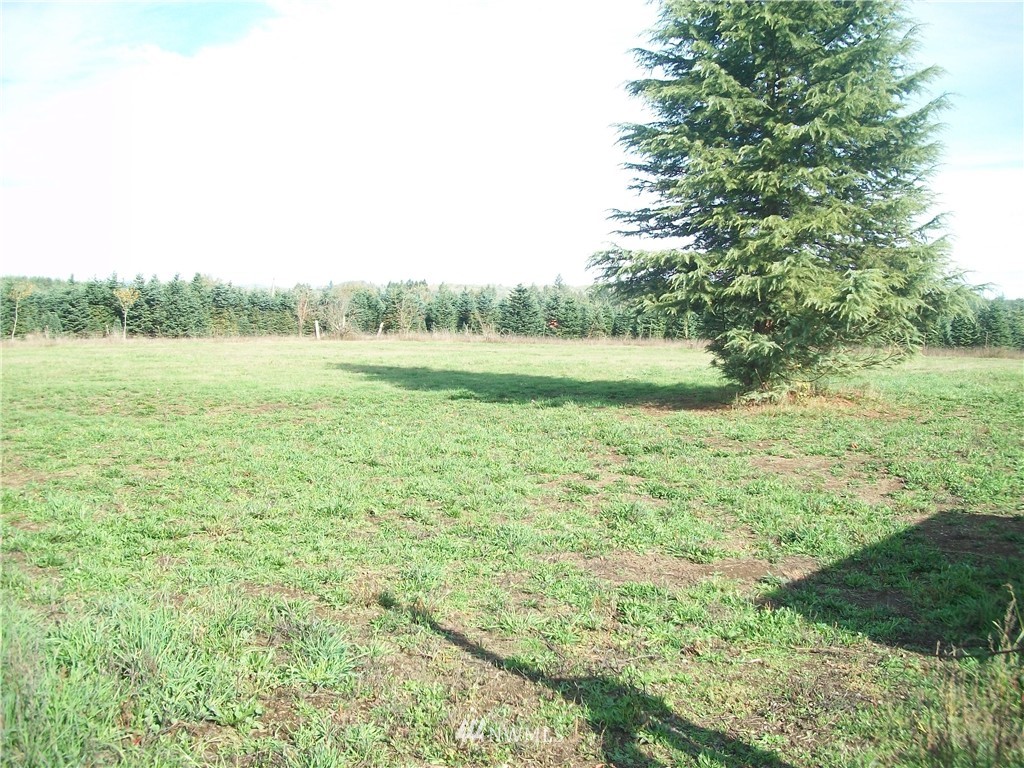 223 Fuller Road Salkum, WA 98582 - Photo 23 of 23 Gallery Image 23