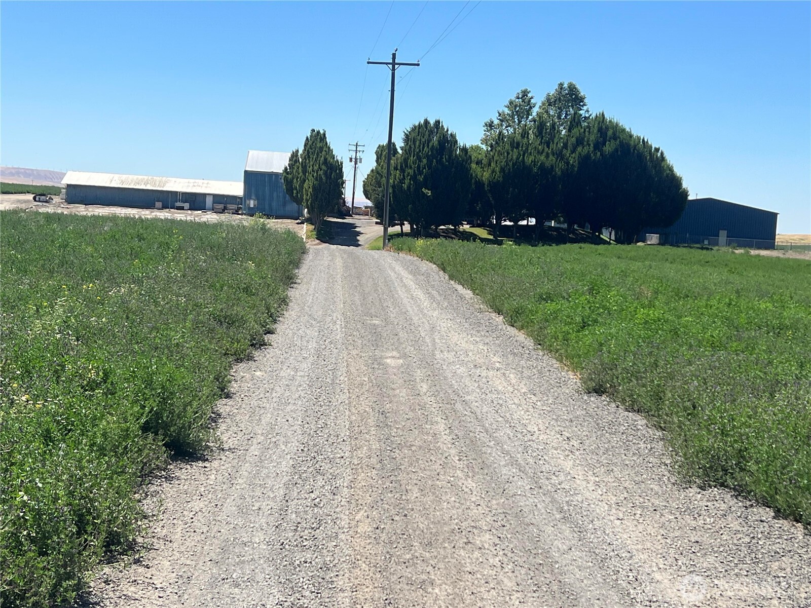 2784 McDonald Road Touchet, WA 99360 - Photo 11 of 31