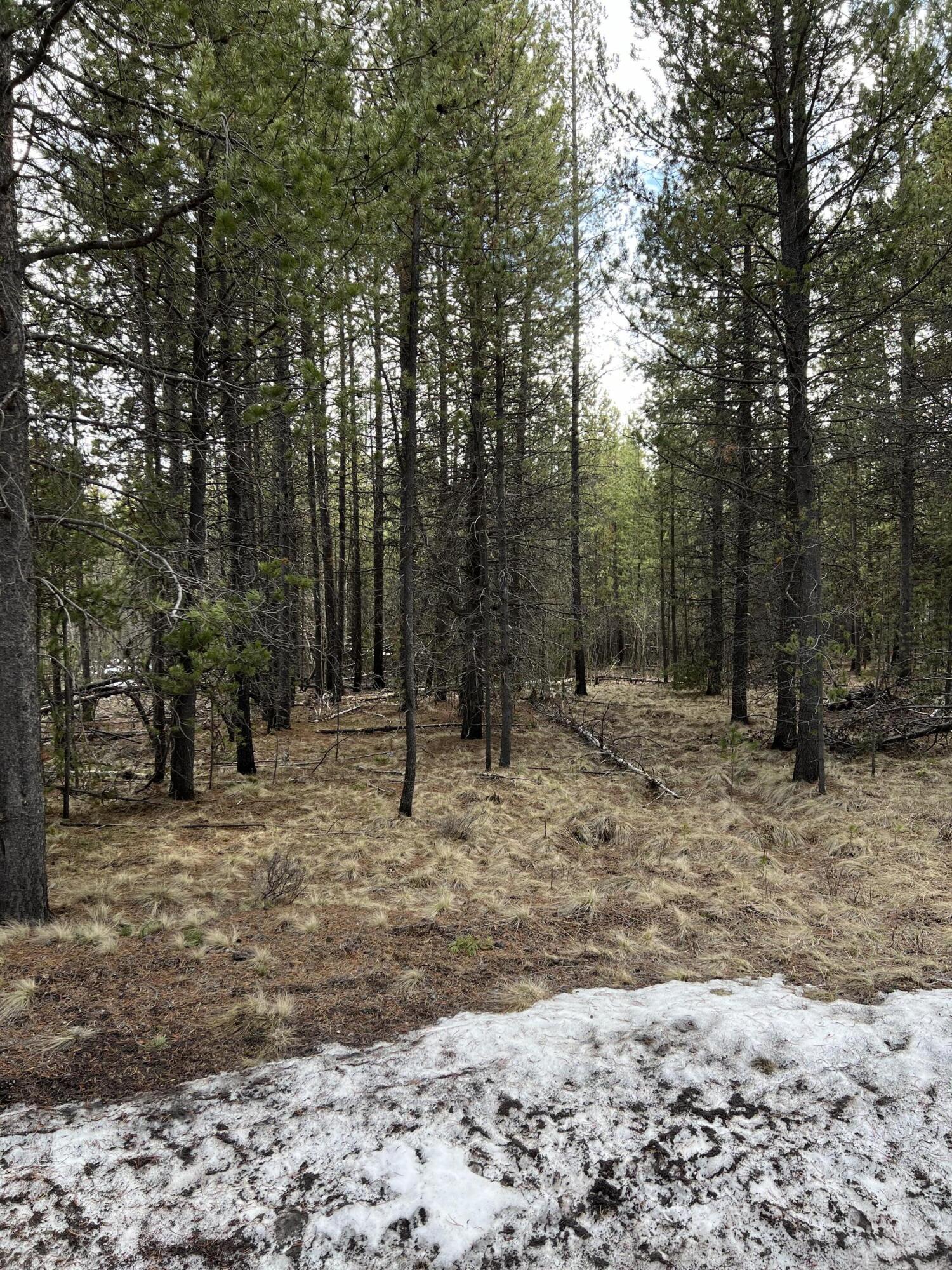17069 Covina Road Bend, OR 97707 - Photo 2 of 6 Road View