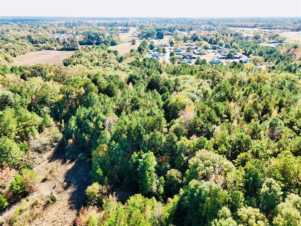 a view of a yard with a trees