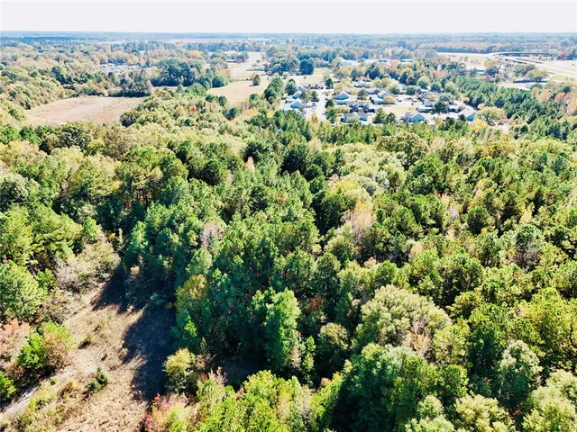 a view of a yard with a trees
