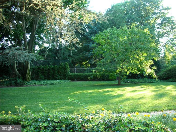 218 Deaver Road Wyncote, PA 19095 - Photo 23 of 25 Back Yard
