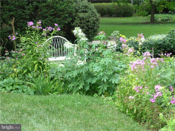 218 Deaver Road Wyncote, PA 19095 - Photo 25 of 25 Side Yard