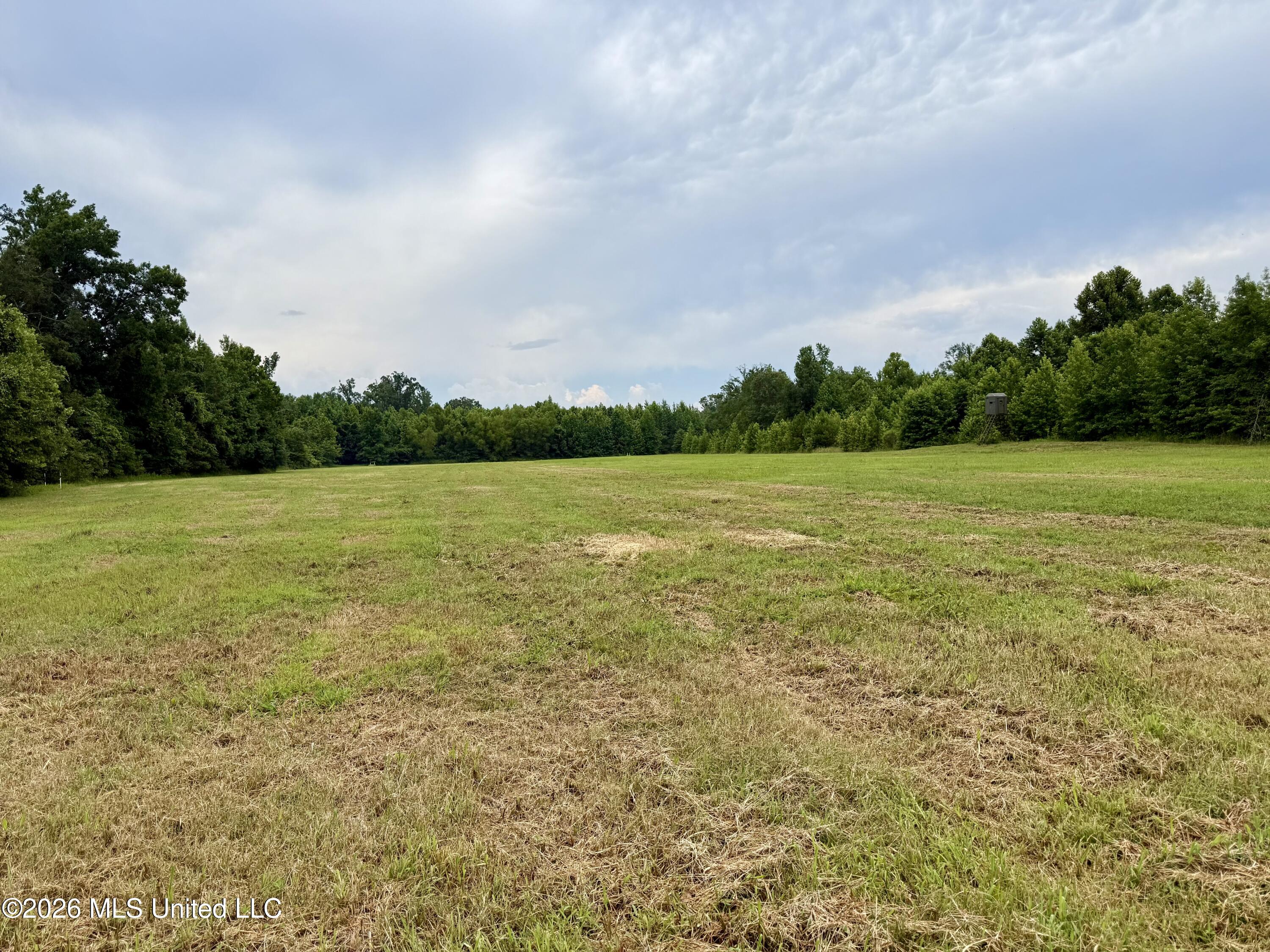 568 Smith-Bailey Road Durant, MS 39063 - Photo 31 of 81 Photo Jul 02 2026, 2 09 26 PM