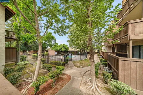 a view of a garden with sitting area