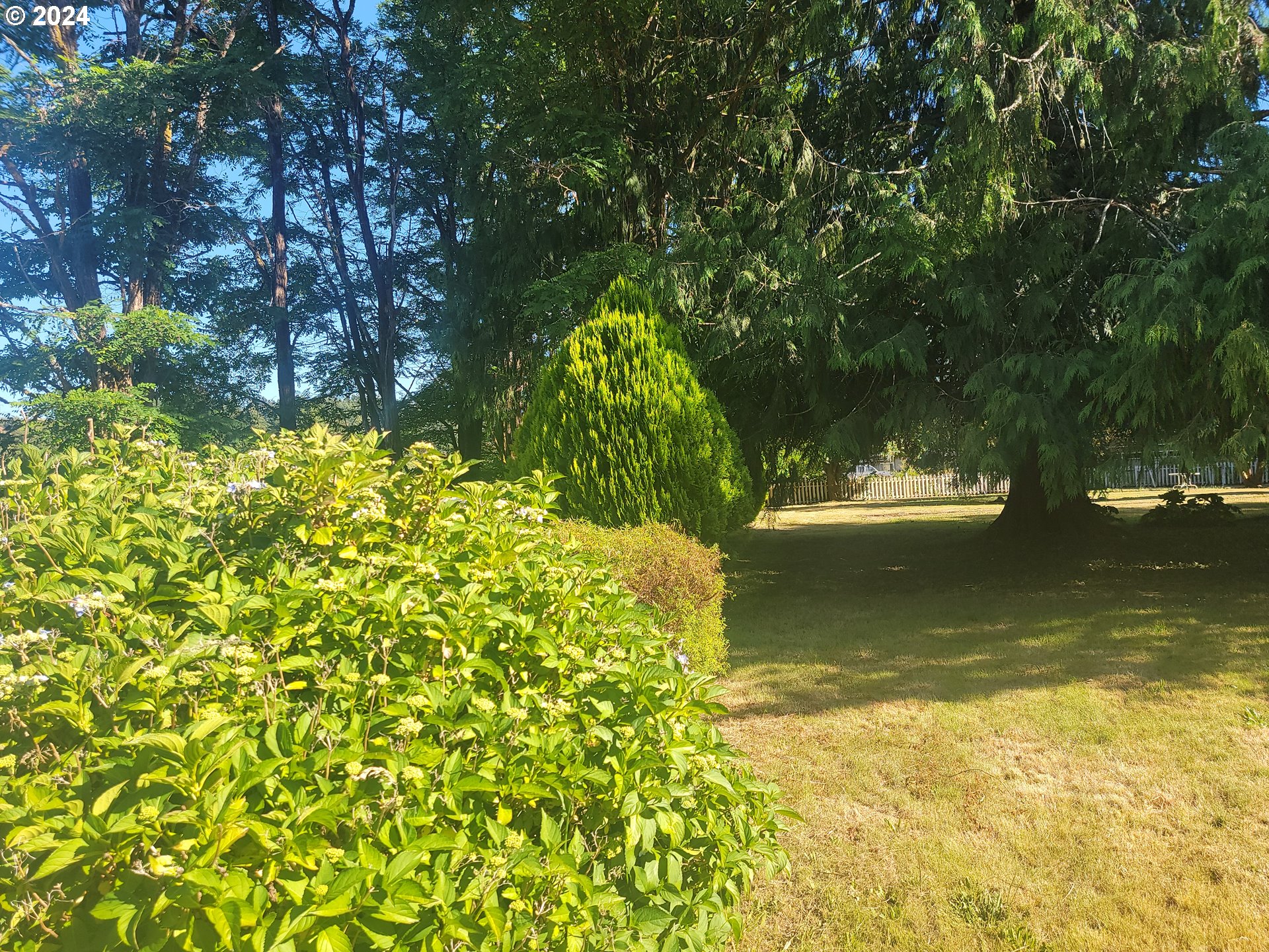 58553 Fairview Road Coquille, OR 97423 - Photo 8 of 41 Gallery Image 8