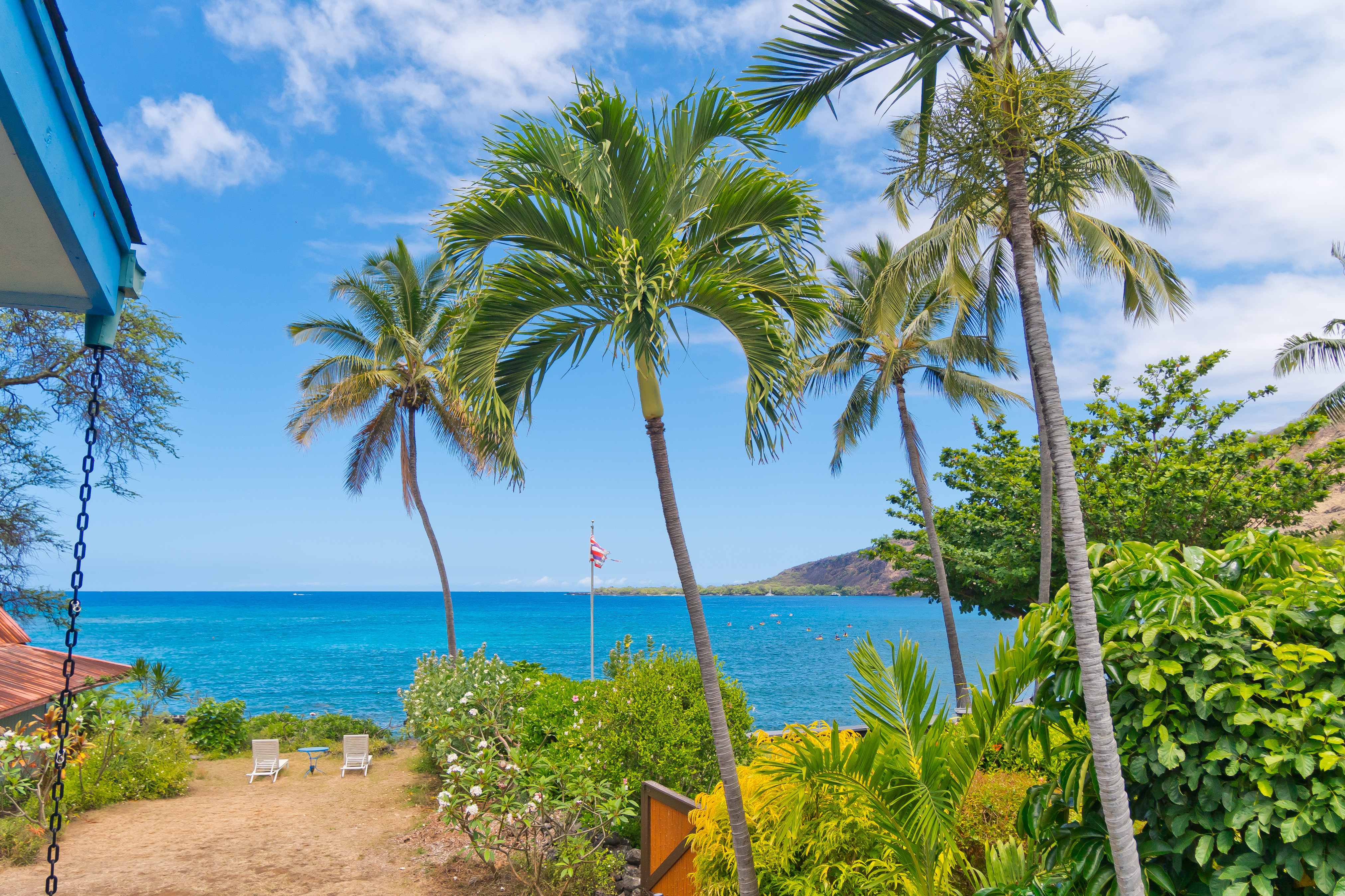 82-6301 Puuhonua Road Captain Cook, HI 96704 - Photo 26 of 27 a view of a backyard of a house