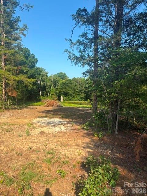 0 Potter Road Lancaster, SC 29720 - Photo 2 of 2