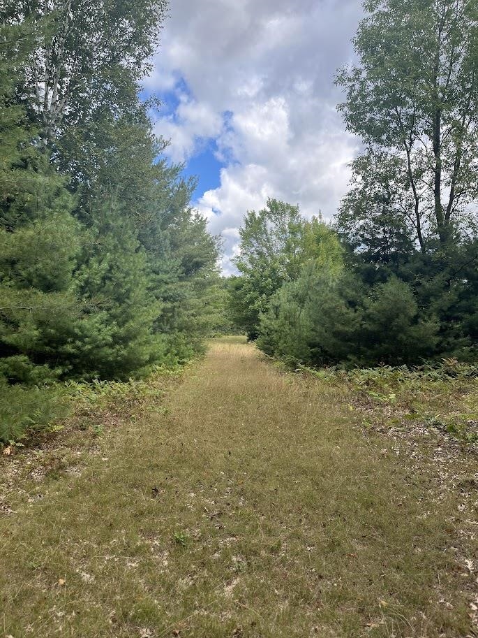 0 Plant Road Whittemore, MI 48770 - Photo 7 of 10