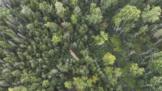 $159,000 | 2349 Muskegon Road, Harrison, MI 48625