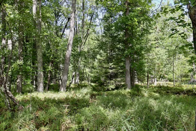 $159,000 | 2349 Muskegon Road, Harrison, MI 48625