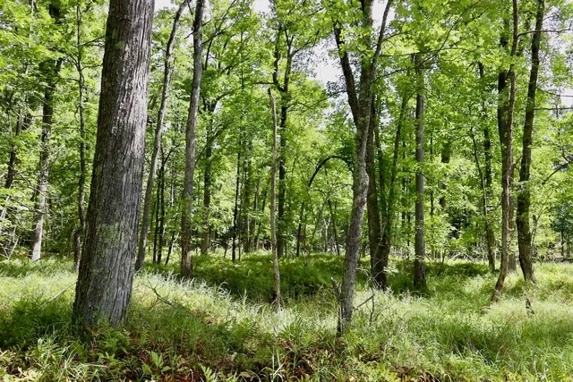 $159,000 | 2349 Muskegon Road, Harrison, MI 48625