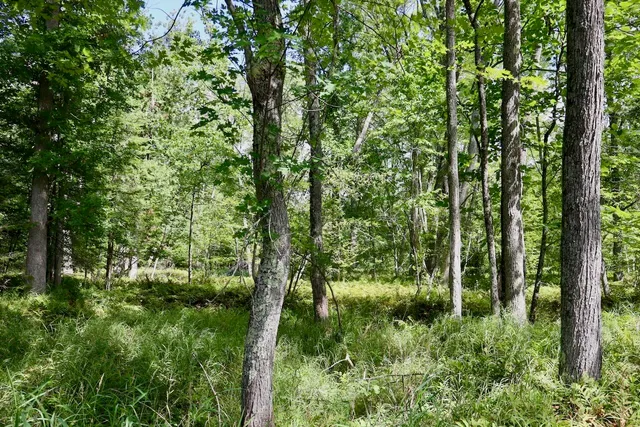 $159,000 | 2349 Muskegon Road, Harrison, MI 48625