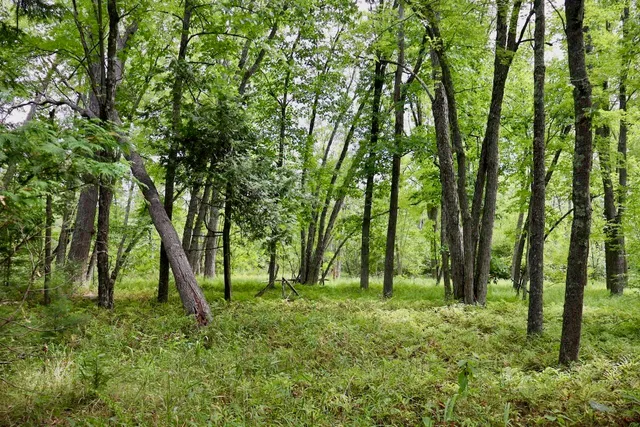 $159,000 | 2349 Muskegon Road, Harrison, MI 48625