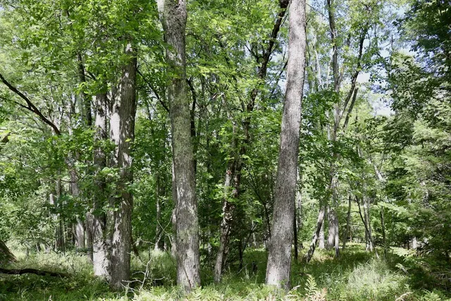 $159,000 | 2349 Muskegon Road, Harrison, MI 48625