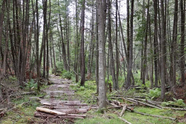 $159,000 | 2349 Muskegon Road, Harrison, MI 48625