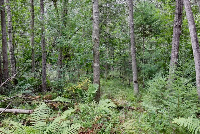 $159,000 | 2349 Muskegon Road, Harrison, MI 48625