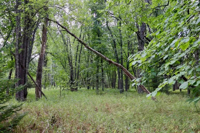 $159,000 | 2349 Muskegon Road, Harrison, MI 48625