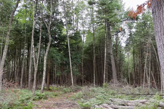 $159,000 | 2349 Muskegon Road, Harrison, MI 48625