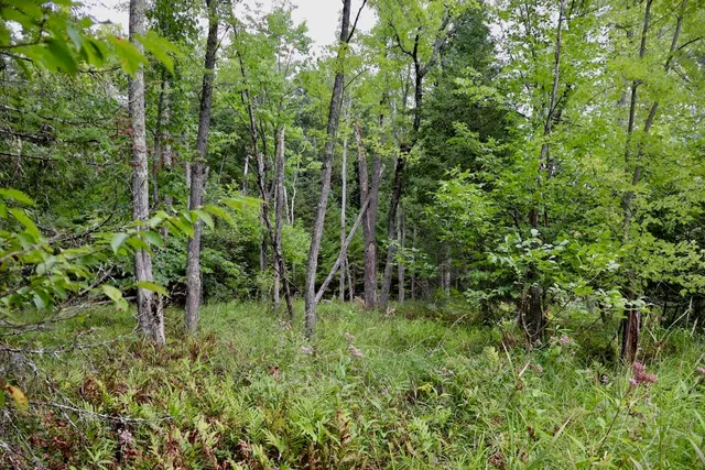 $159,000 | 2349 Muskegon Road, Harrison, MI 48625