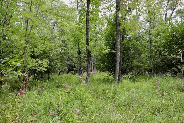 $159,000 | 2349 Muskegon Road, Harrison, MI 48625