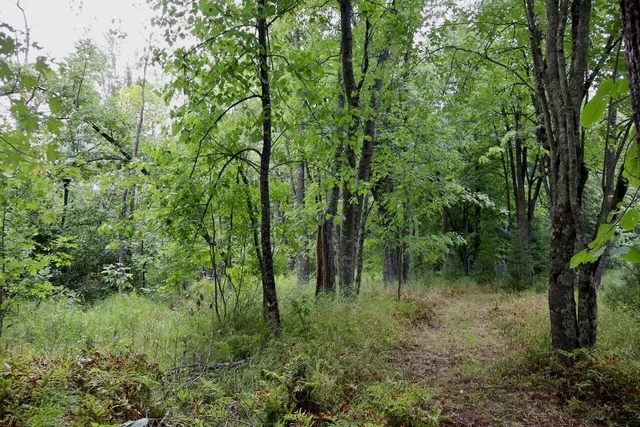 $159,000 | 2349 Muskegon Road, Harrison, MI 48625