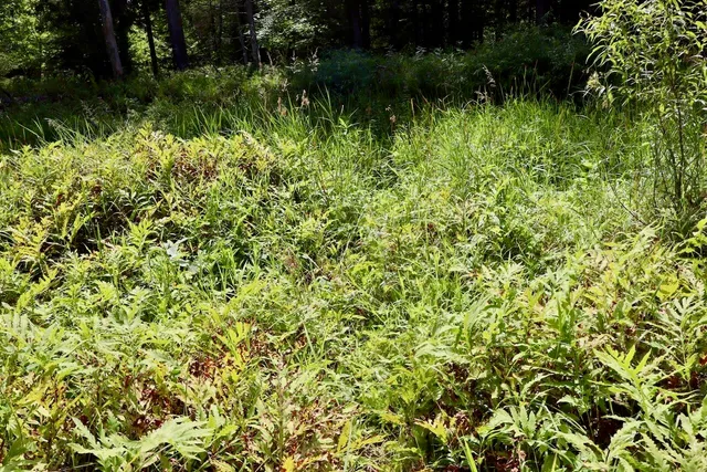 $159,000 | 2349 Muskegon Road, Harrison, MI 48625