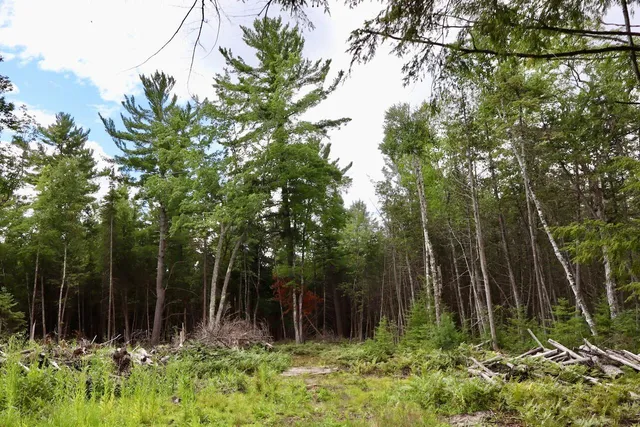 $159,000 | 2349 Muskegon Road, Harrison, MI 48625