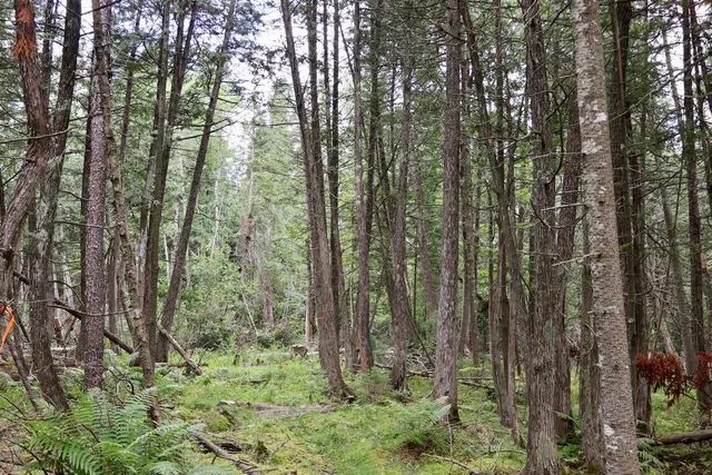 $159,000 | 2349 Muskegon Road, Harrison, MI 48625