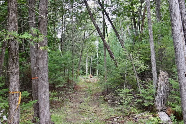 $159,000 | 2349 Muskegon Road, Harrison, MI 48625