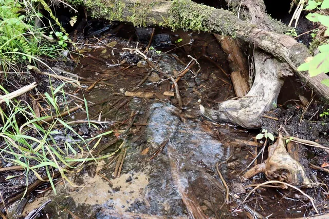 $159,000 | 2349 Muskegon Road, Harrison, MI 48625