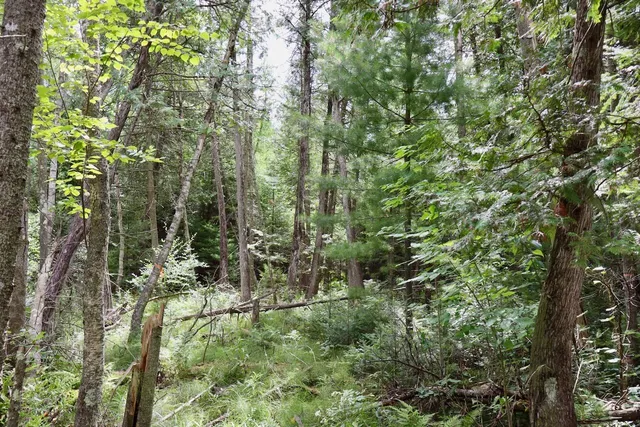 $159,000 | 2349 Muskegon Road, Harrison, MI 48625