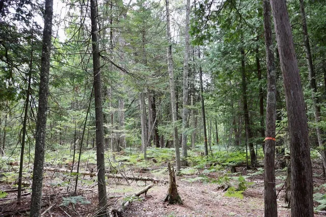 $159,000 | 2349 Muskegon Road, Harrison, MI 48625