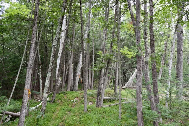 $159,000 | 2349 Muskegon Road, Harrison, MI 48625