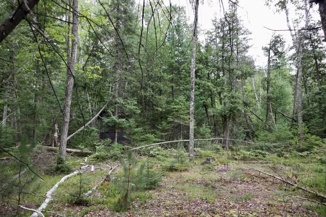 $159,000 | 2349 Muskegon Road, Harrison, MI 48625