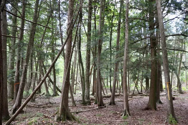 $159,000 | 2349 Muskegon Road, Harrison, MI 48625