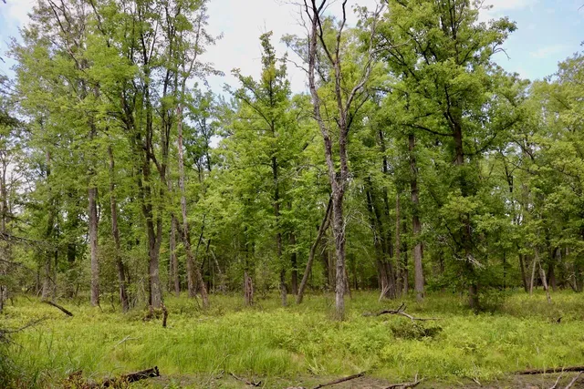 $159,000 | 2349 Muskegon Road, Harrison, MI 48625