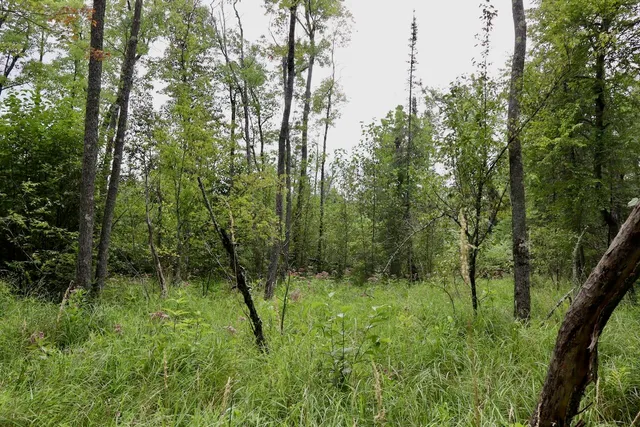 $159,000 | 2349 Muskegon Road, Harrison, MI 48625