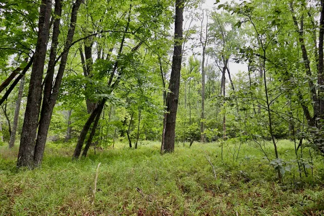 $159,000 | 2349 Muskegon Road, Harrison, MI 48625