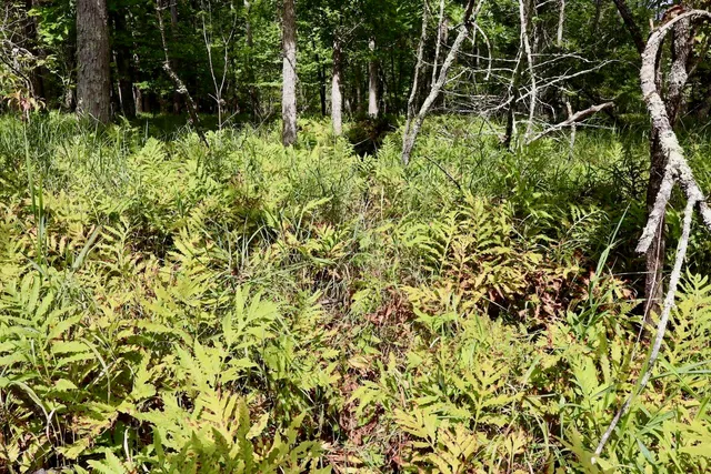 $159,000 | 2349 Muskegon Road, Harrison, MI 48625