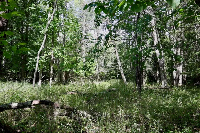 $159,000 | 2349 Muskegon Road, Harrison, MI 48625