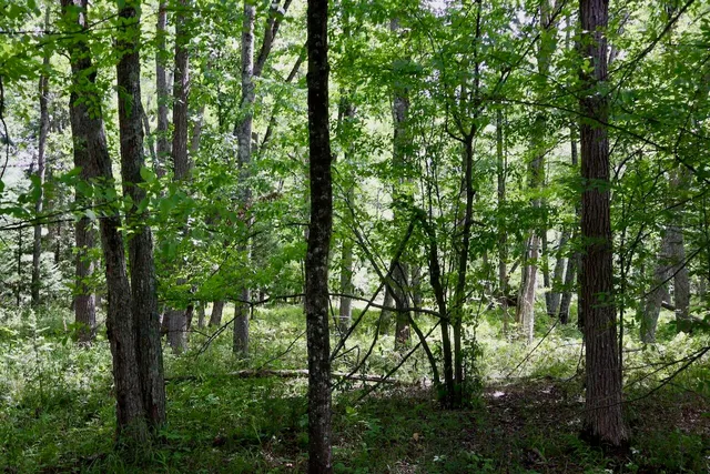 $159,000 | 2349 Muskegon Road, Harrison, MI 48625