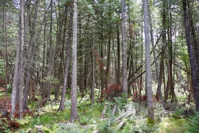 $159,000 | 2349 Muskegon Road, Harrison, MI 48625