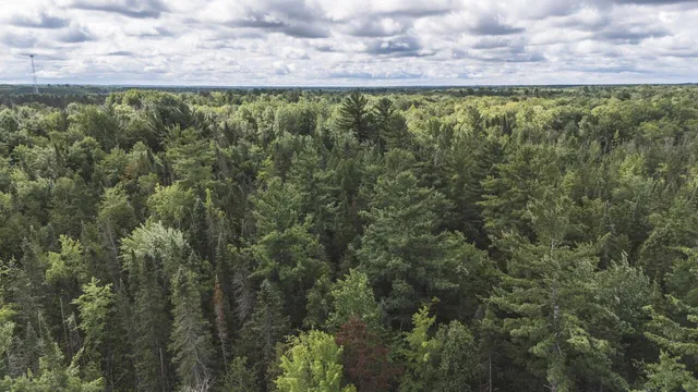 $159,000 | 2349 Muskegon Road, Harrison, MI 48625