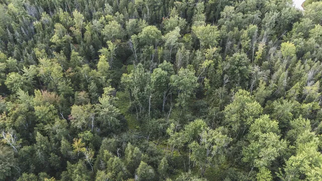 $159,000 | 2349 Muskegon Road, Harrison, MI 48625