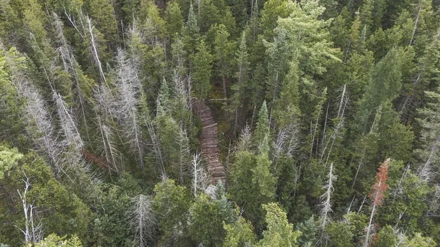 $159,000 | 2349 Muskegon Road, Harrison, MI 48625