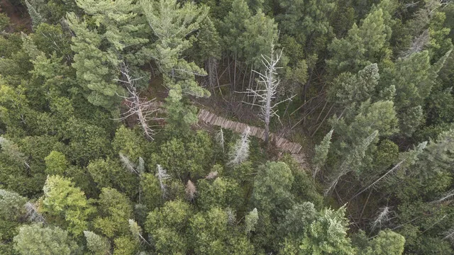 $159,000 | 2349 Muskegon Road, Harrison, MI 48625