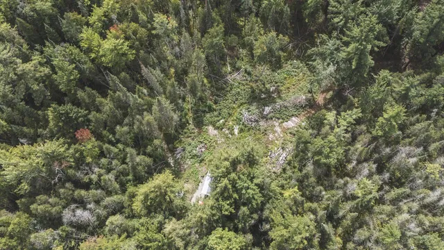 $159,000 | 2349 Muskegon Road, Harrison, MI 48625