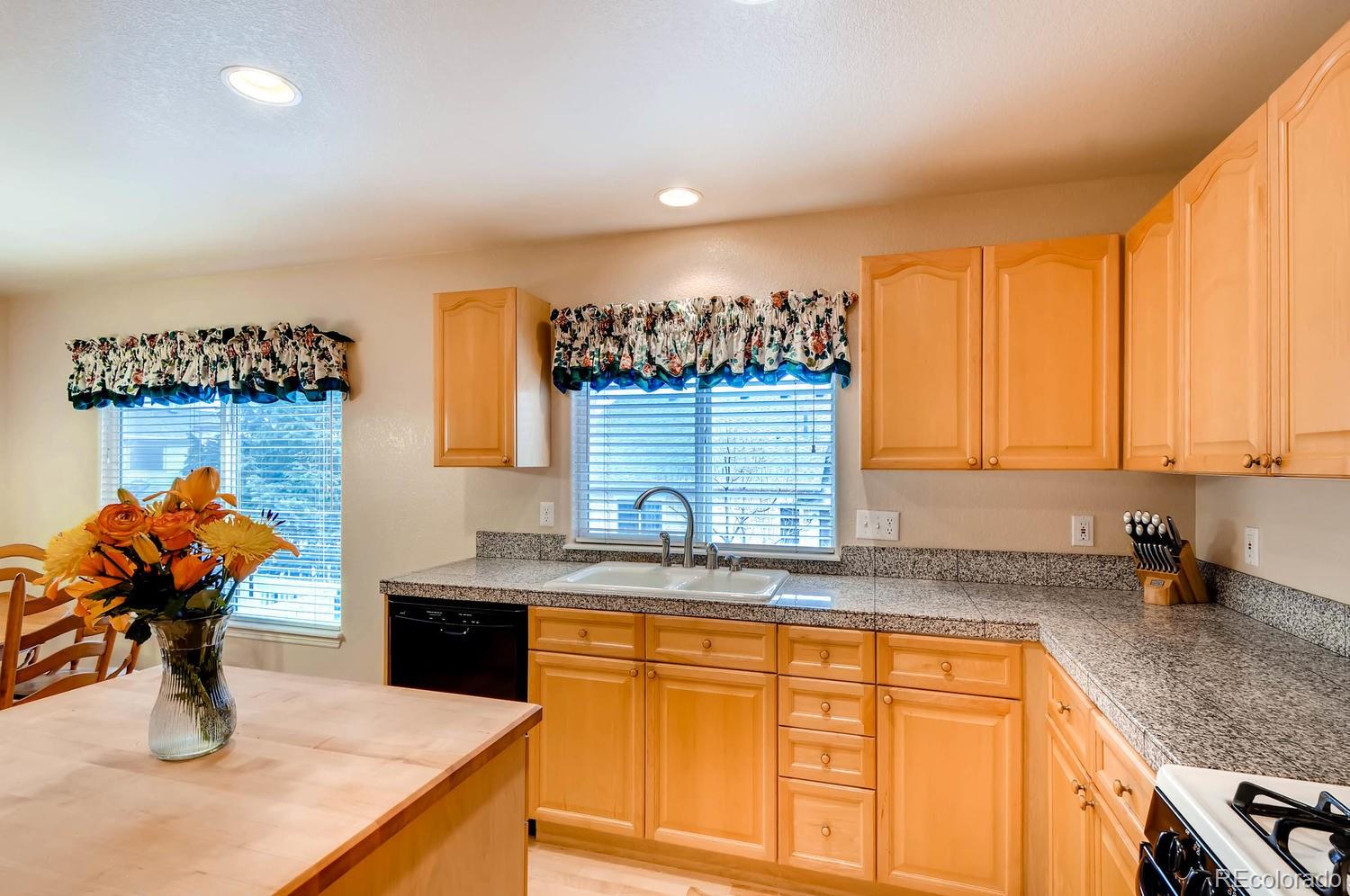 9748 Crosspointe Drive Highlands Ranch, CO 80130 - Photo 11 of 28 Gallery Image 11